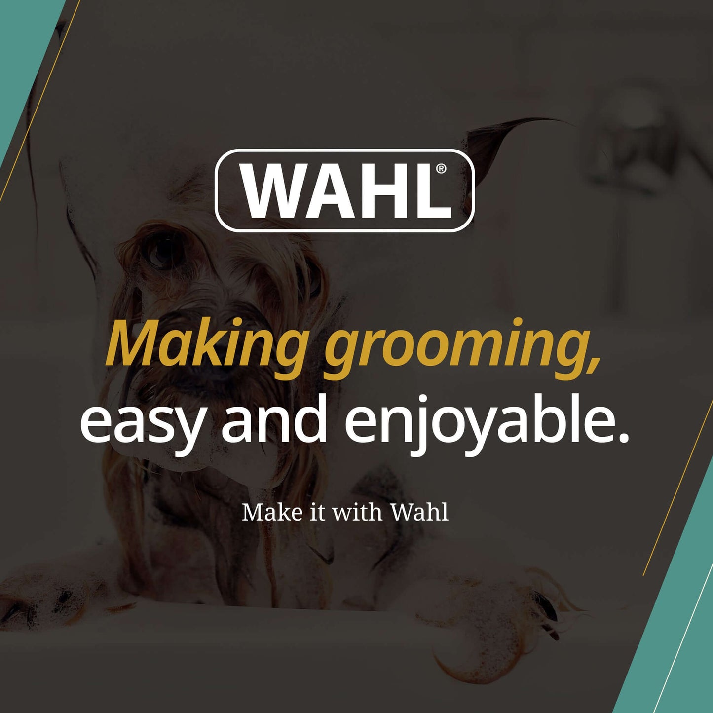 best way to clean muddy dog paws