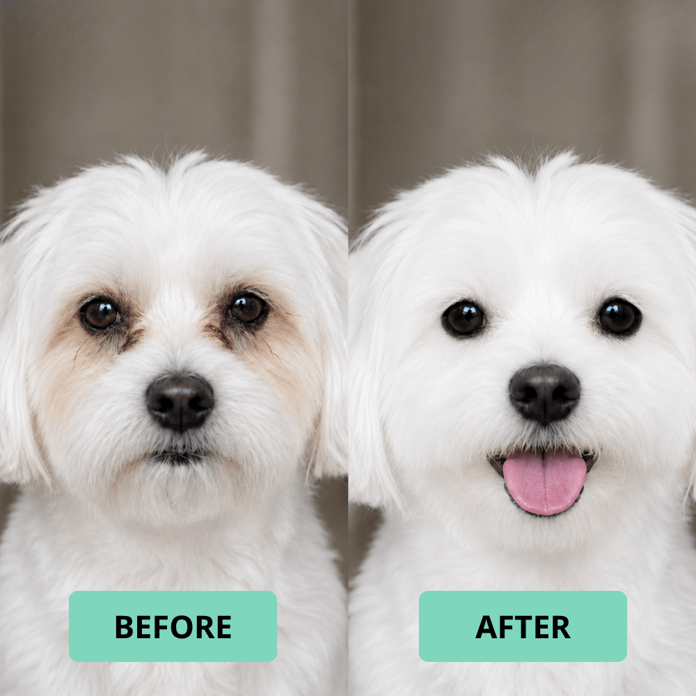 DOG EYE CLEANING FINGER WIPES - 100 CT