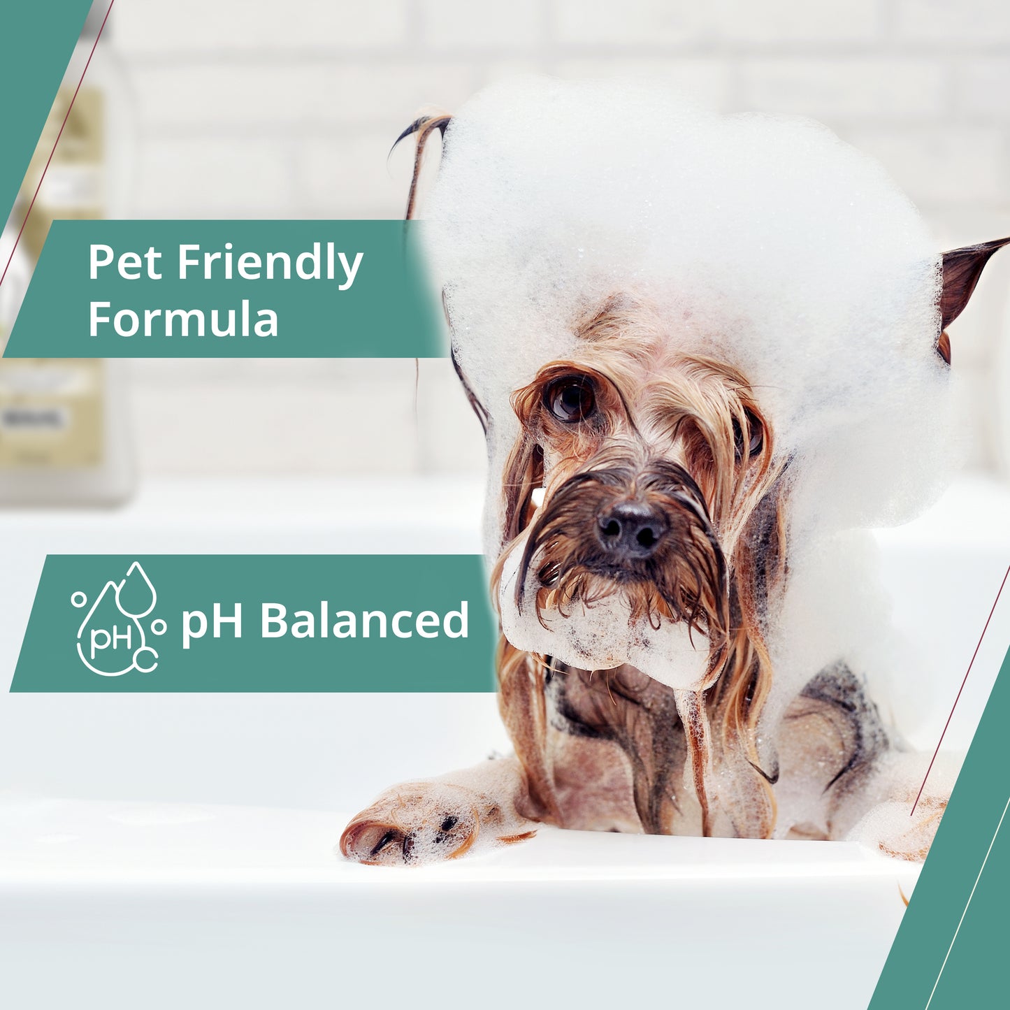 SHAMPOING POUR CHIOT 700ML-BLEUET ALOE