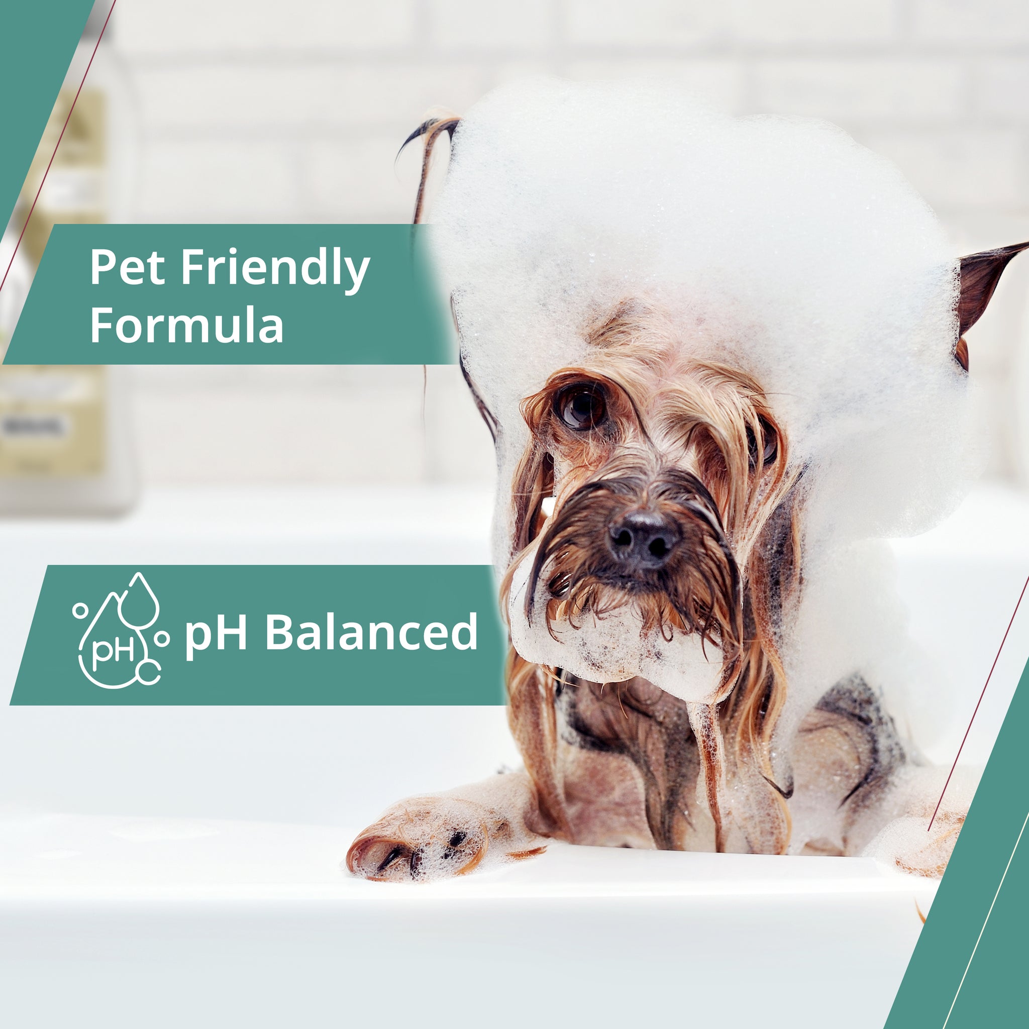 SHAMPOING POUR CHIOT 700ML-BLEUET ALOE