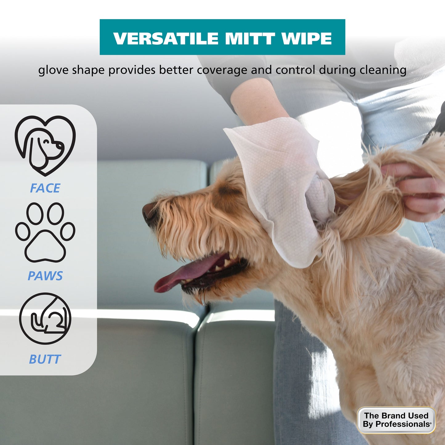 Lingettes pour chiens-3 lingettes pour doigts-24 unités (2 paquets de 12) 