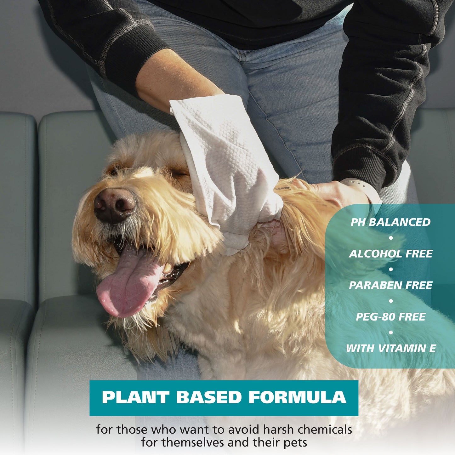 Lingettes pour chiens-3 lingettes pour doigts-24 unités (2 paquets de 12) 
