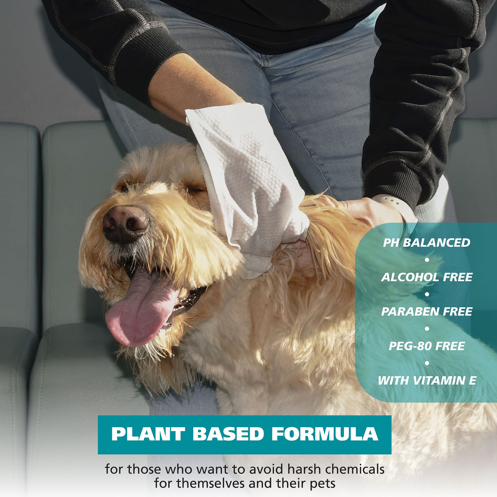 Lingettes pour chiens-3 lingettes pour doigts-24 unités (2 paquets de 12) 