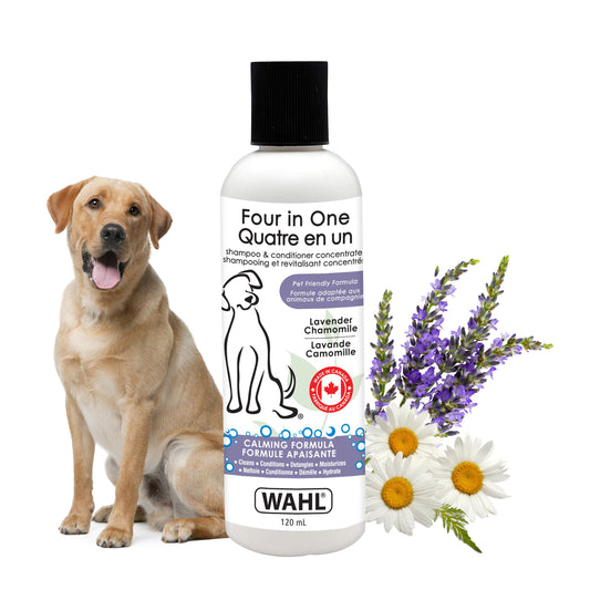 🎁 DOG Four in One SHAMPOO/CONDITIONER- LAVENDER CHAMOMILE- 120 mL (100% off)