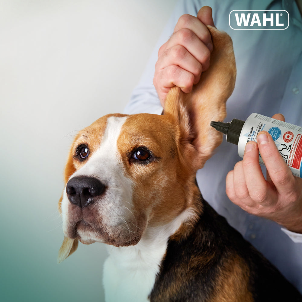 Wahl Pet Ear Cleaner-175 ml