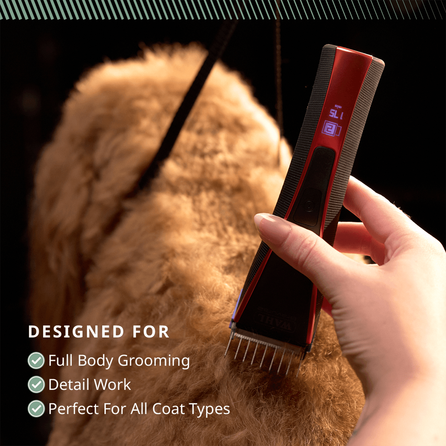 WAHL bravura 2.0 clippers for dogs
