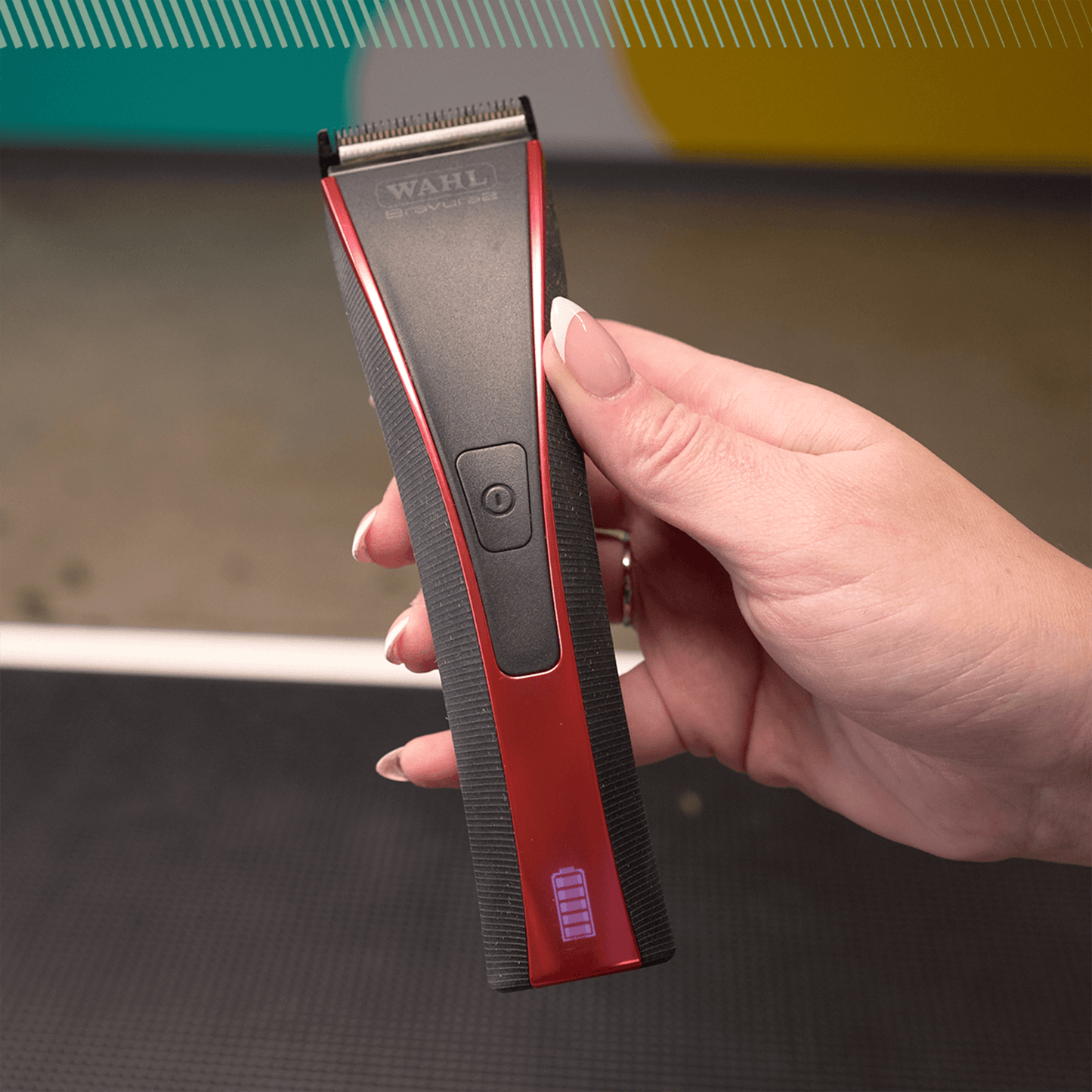 WAHL professional animal bravura 2.0