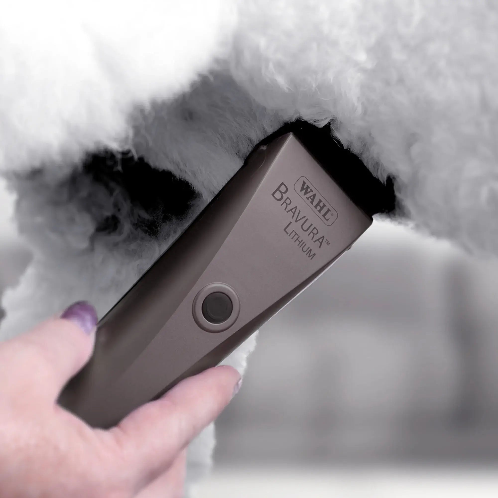 WAHL professional animal bravura