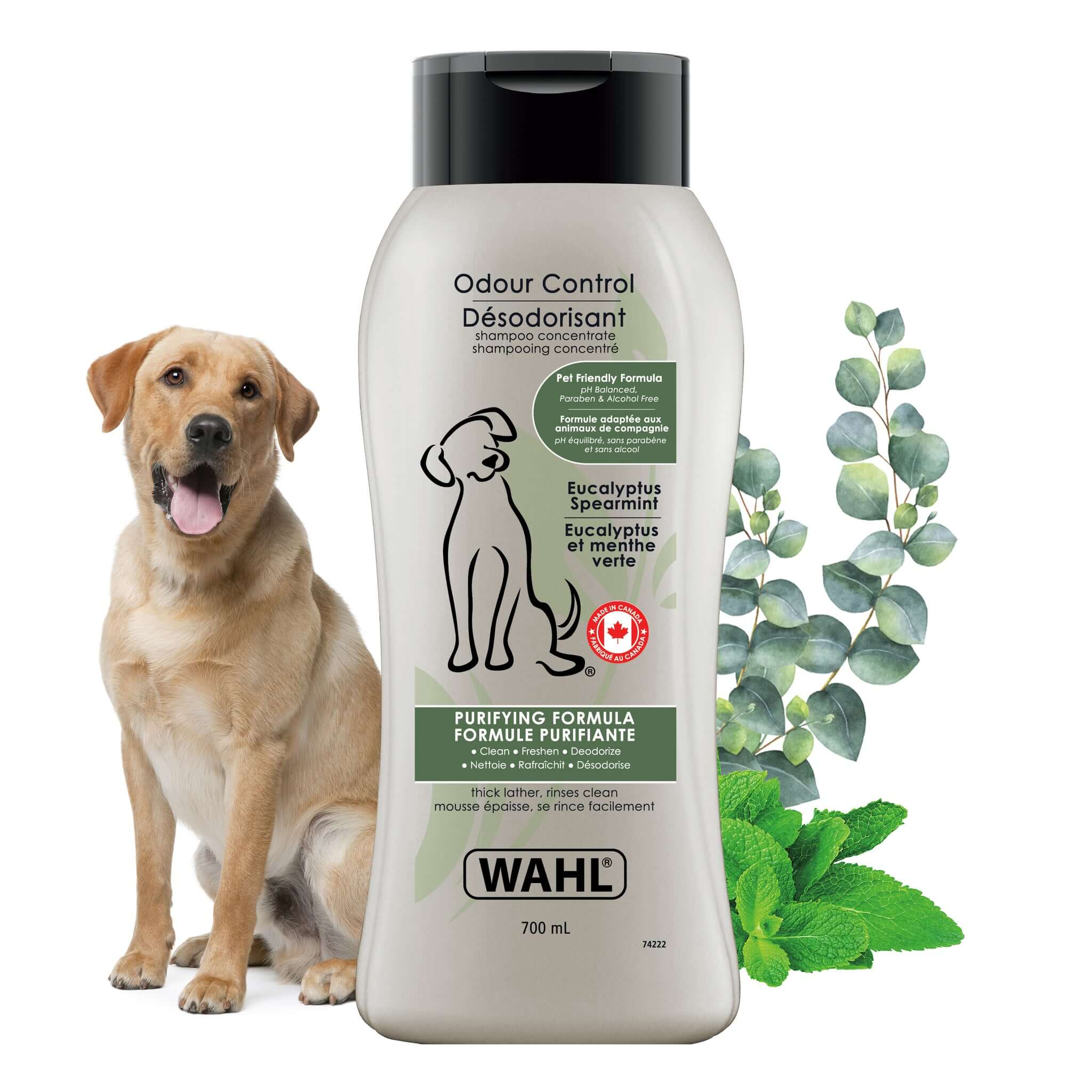 best odor control dog shampoo