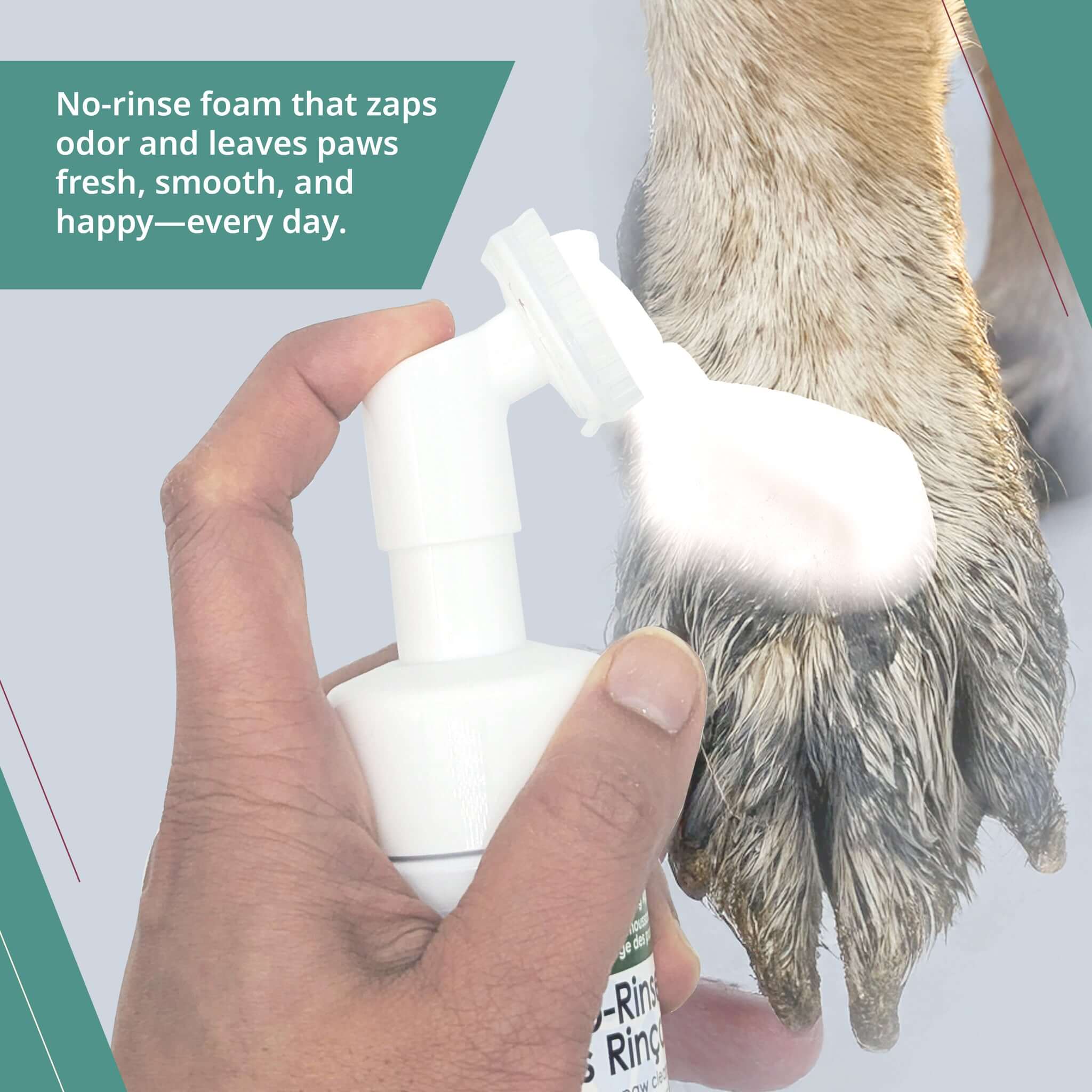 dog paw sanitizer