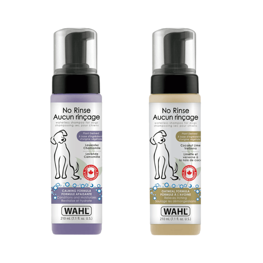 dog shampoo for itchy skin