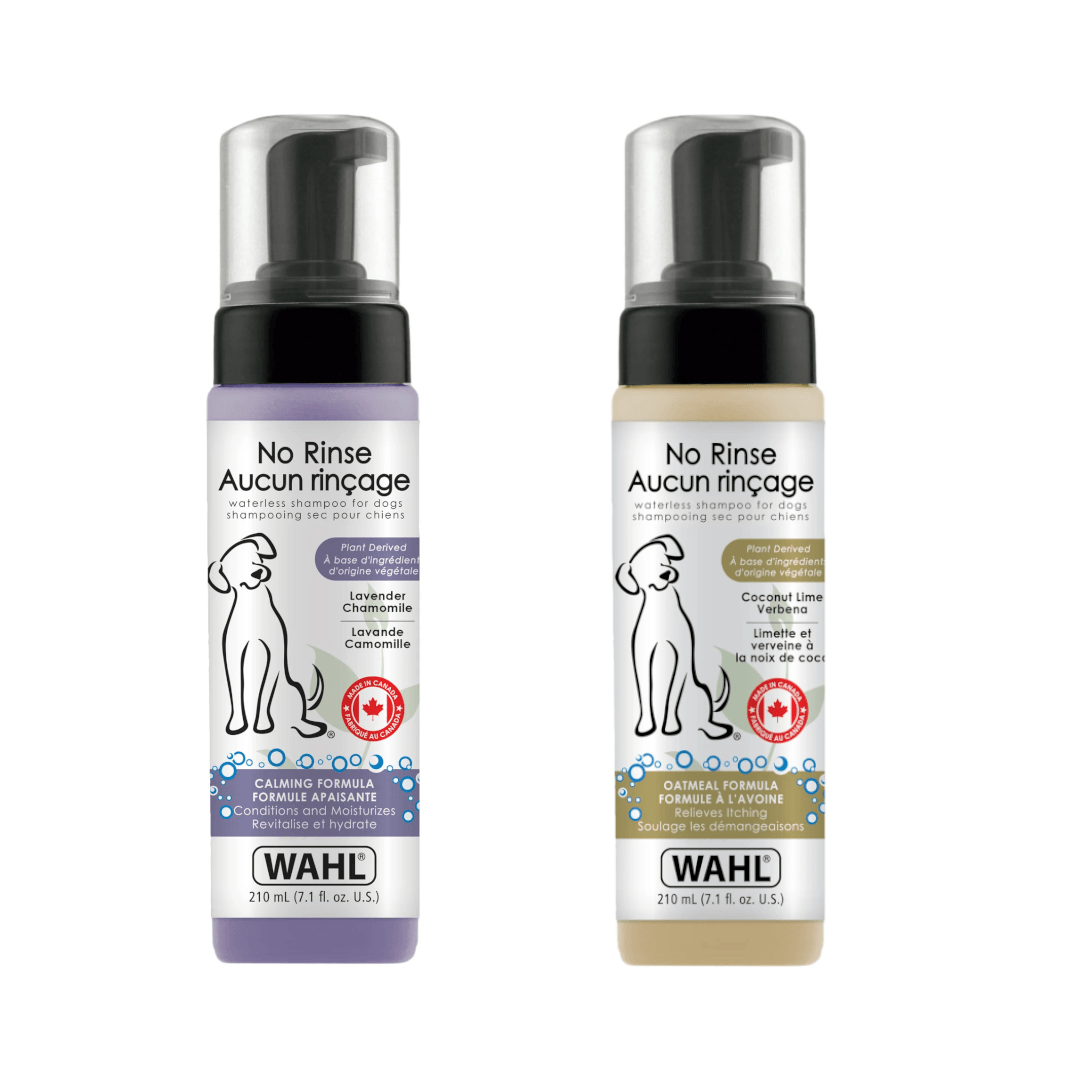 dog shampoo for itchy skin