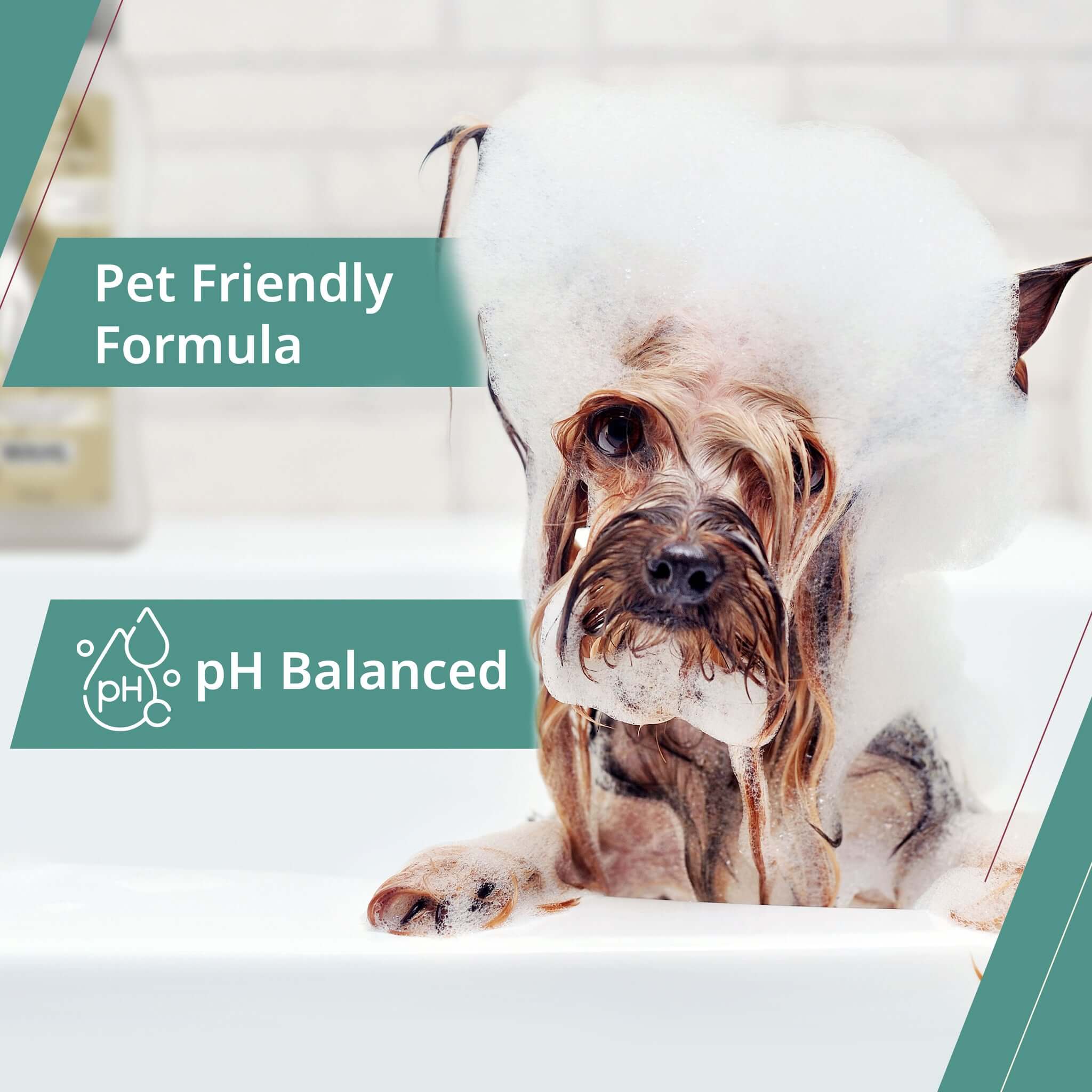 wahl puppy shampoo